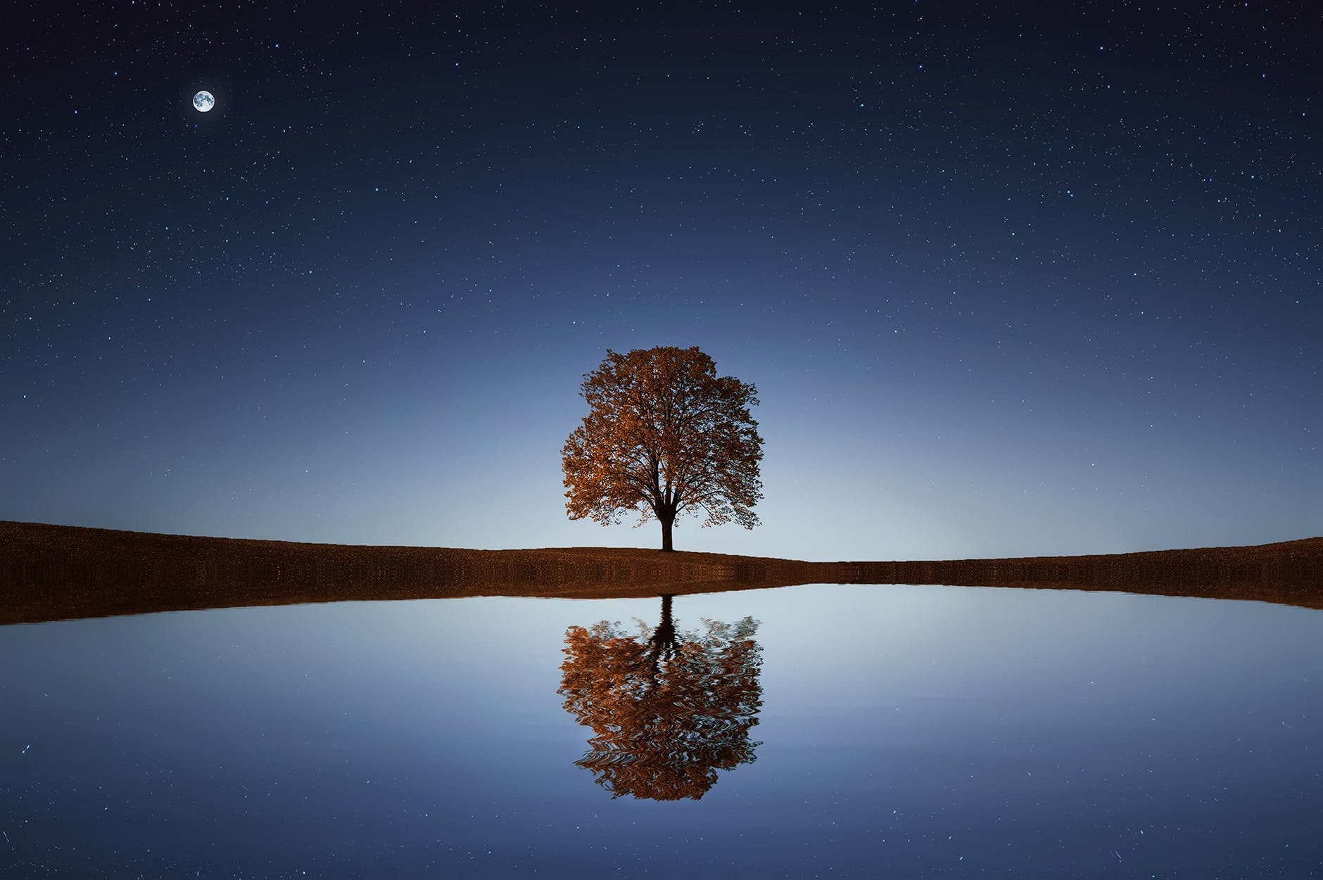 Quell and replenish…