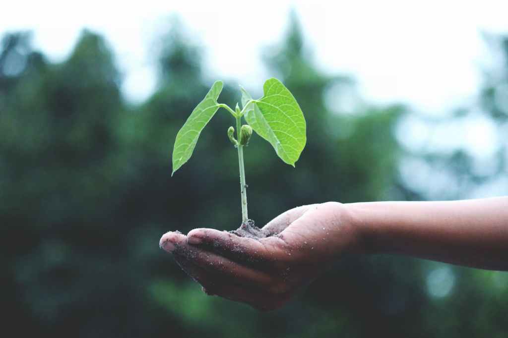 Community growth from&nbsp;COVID