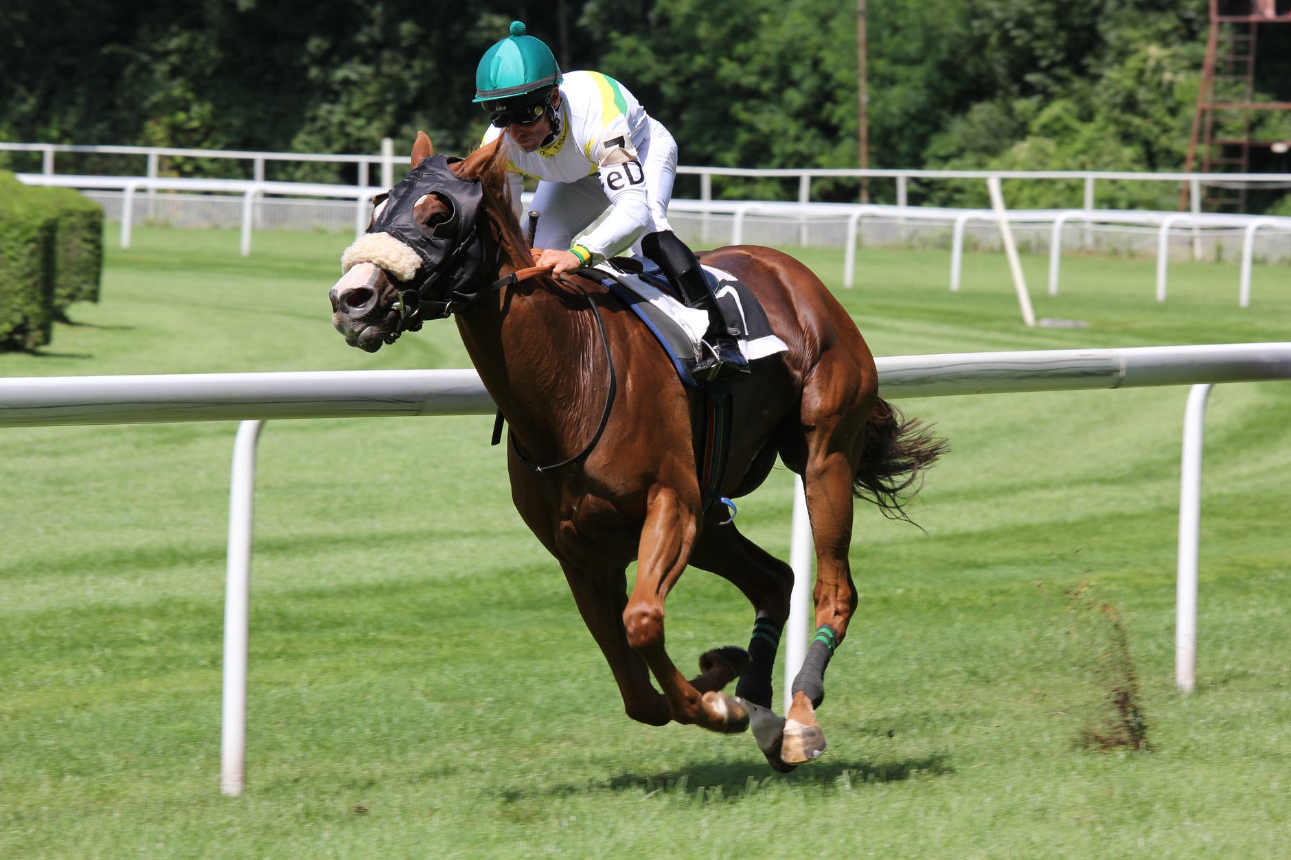 Weeks 34 and 35: At The Start Of The Final Furlong