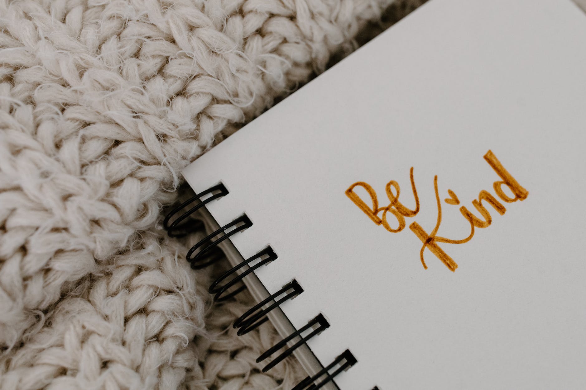 Embracing Growth and Kindness: Week 19 In A Headteacher’s Journey at Willaston School